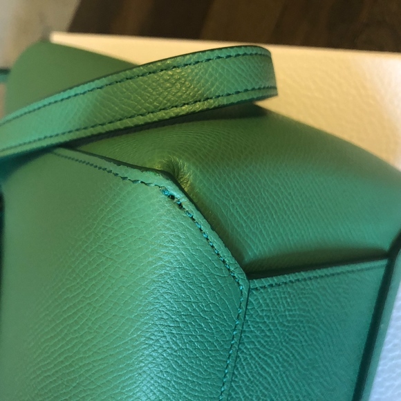 CELINE MICRO BELT BAG POP GREEN RARE - Picture 8 of 8